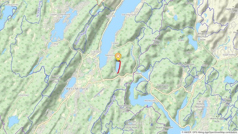 Green Turtle Pond East Shore Walk