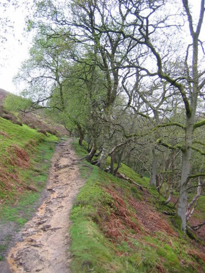 An image depicting the trail Levisham Circular Walk and its surrounding area.