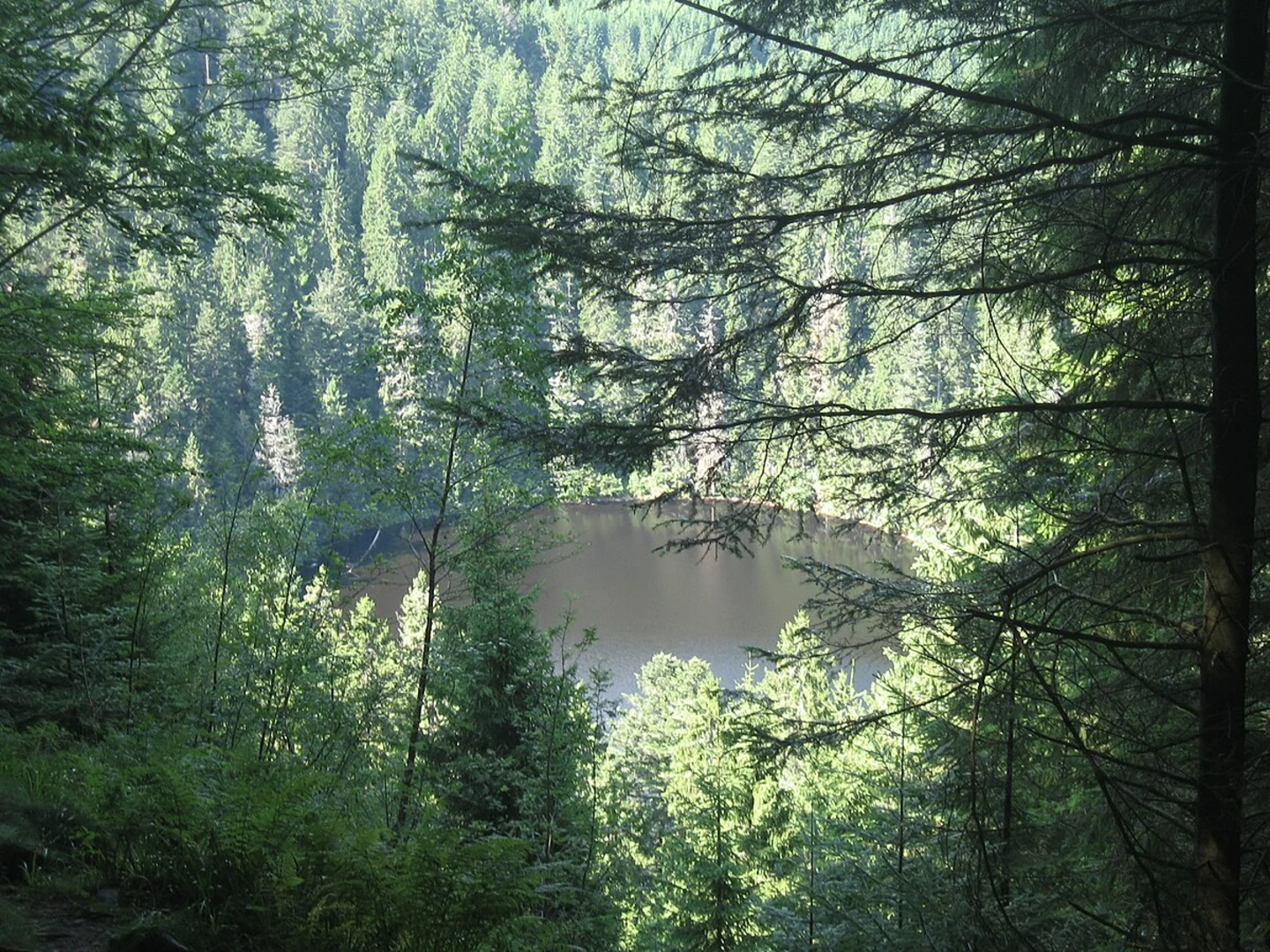 An image depicting the trail Glaswaldsee,Teufelskanzel and Marienruhe Loop and its surrounding area.