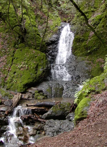 Waterfall and Swanson Canyon