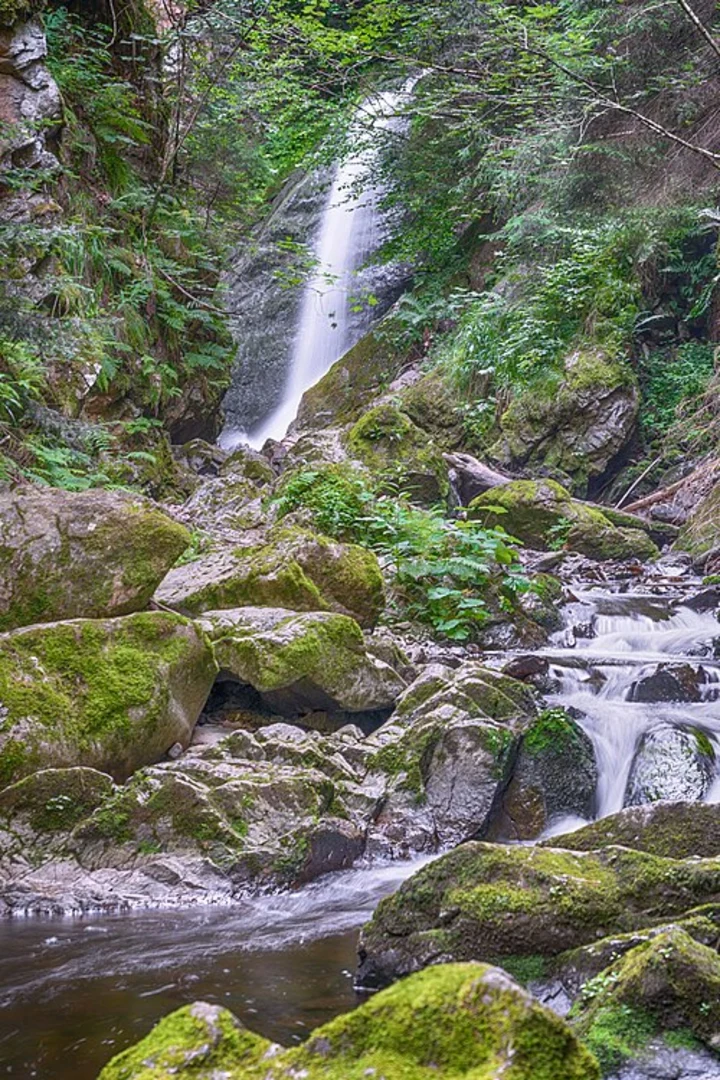 An image depicting the trail Hollsteig and Baschihof - Steietenhausle Loop and its surrounding area.