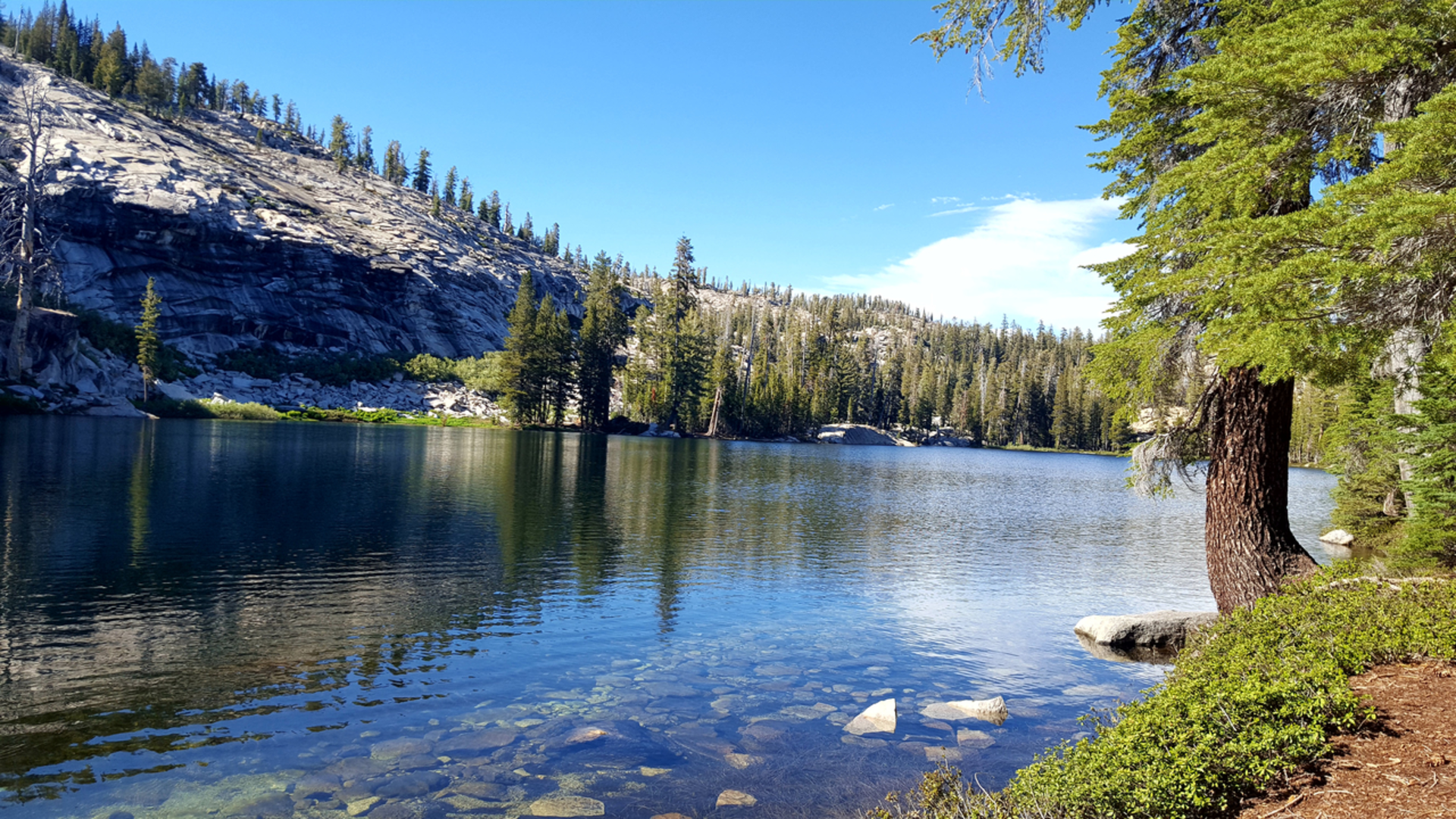 An image depicting the trail Jackass Lakes Trail and its surrounding area.