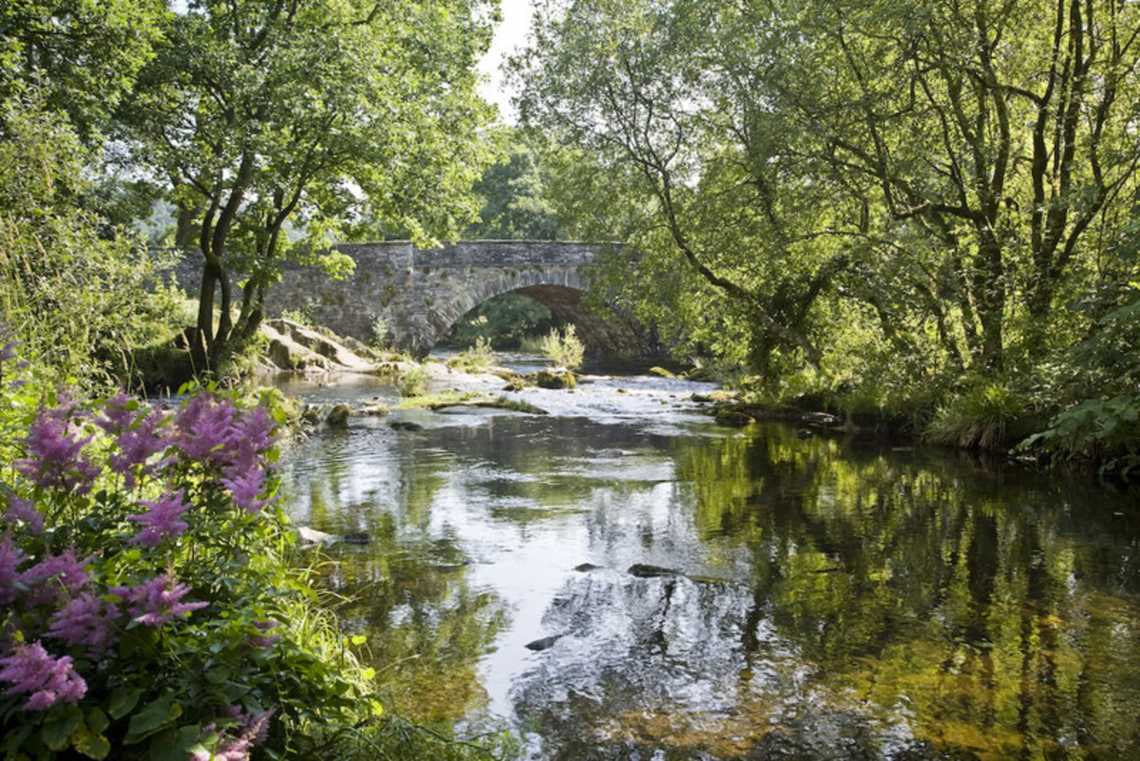 An image depicting the trail Skelwith Bridge to Lakeside Walk via Windermere and its surrounding area.