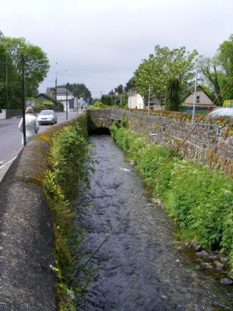An image depicting the trail Sheeps Head - Moyny Bridge Walk - Drimoleague and its surrounding area.