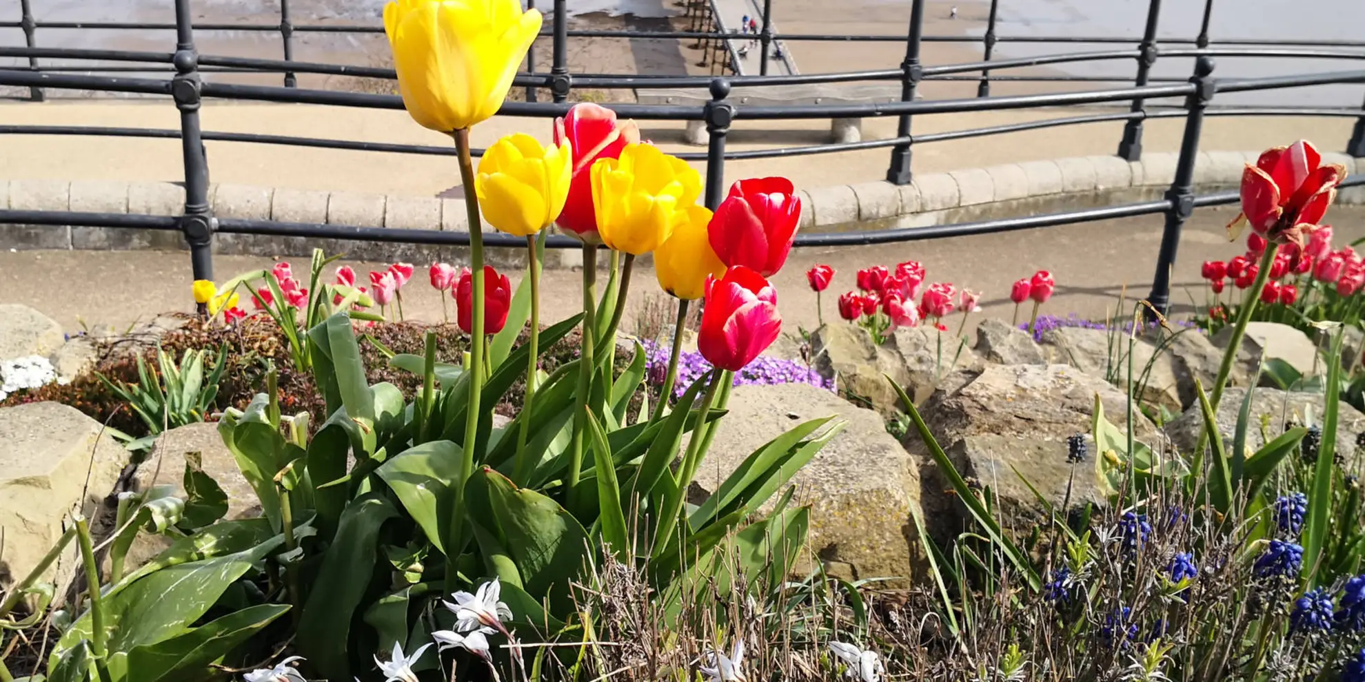 An image depicting the trail Saltburn by the Sea and its surrounding area.