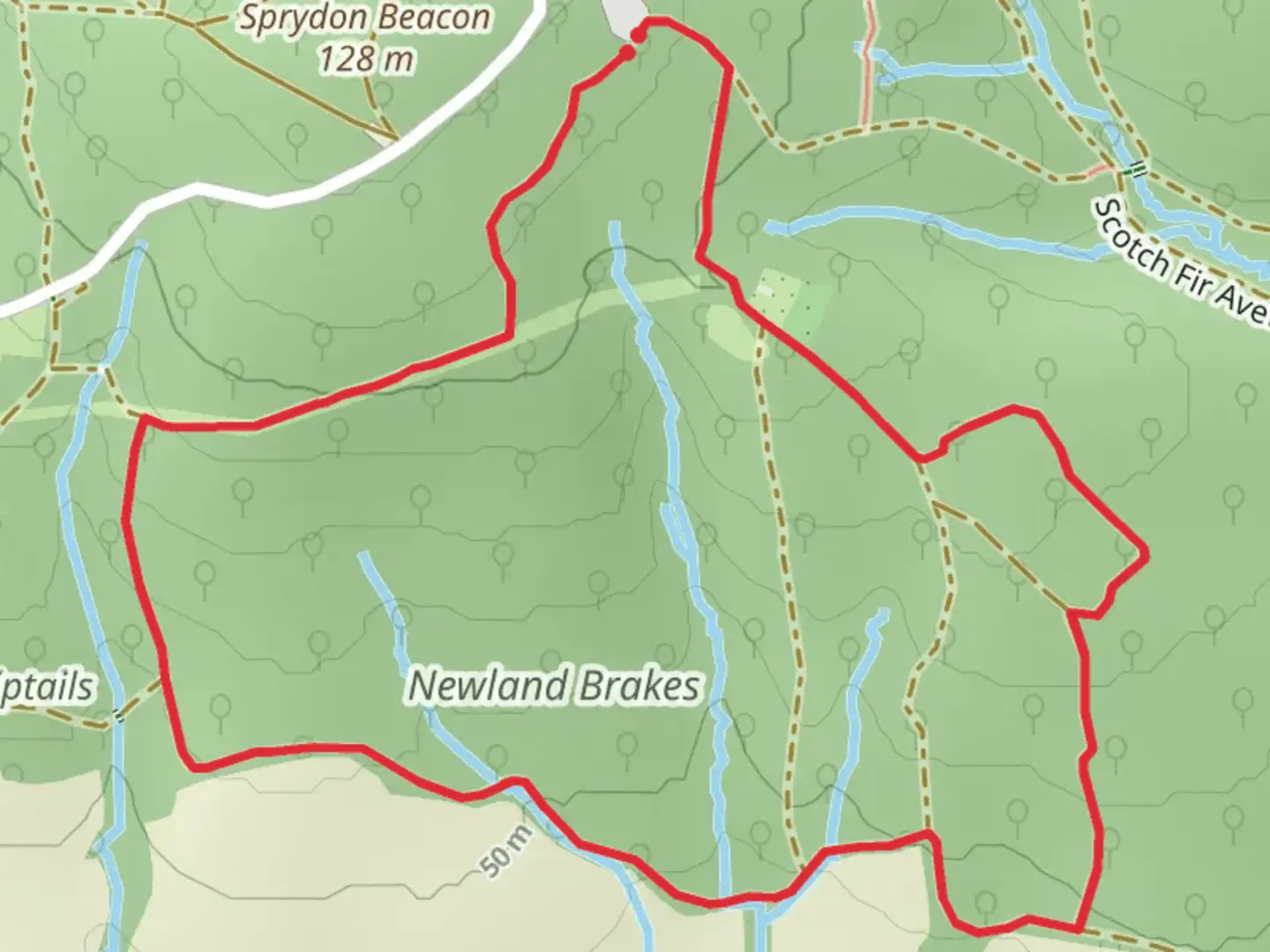 An image depicting the trail Ashclyst Orchard loop and its surrounding area.