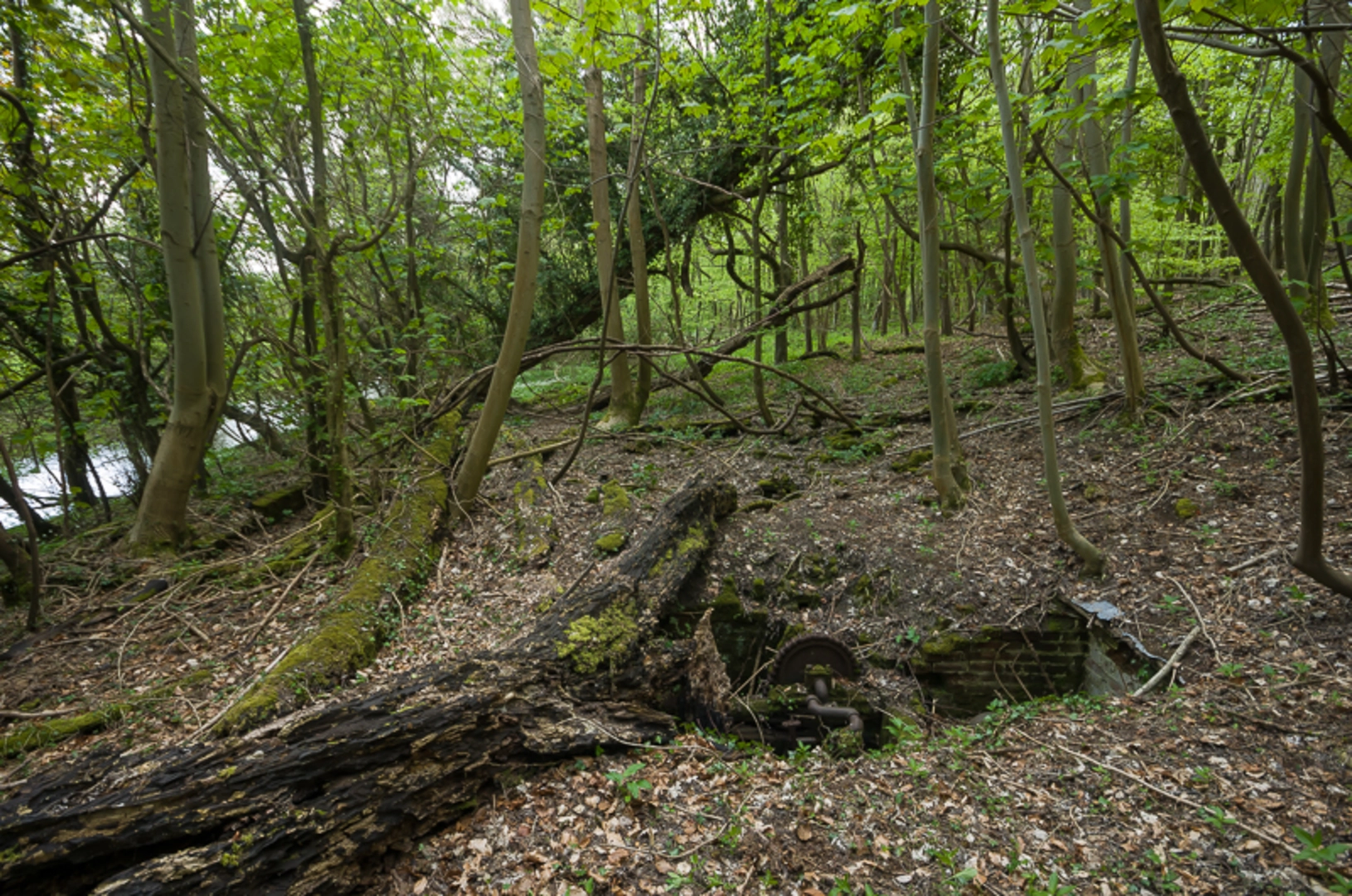 An image depicting the trail Denshire Hill, The Scrubs and Norbury Park Loop and its surrounding area.