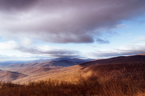 An image depicting the trail Bluff Trail and its surrounding area.