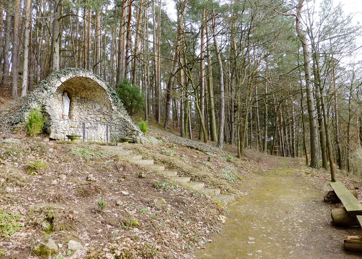 An image depicting the trail Mariengrotte, Bundenholz and In den Schinden Loop and its surrounding area.