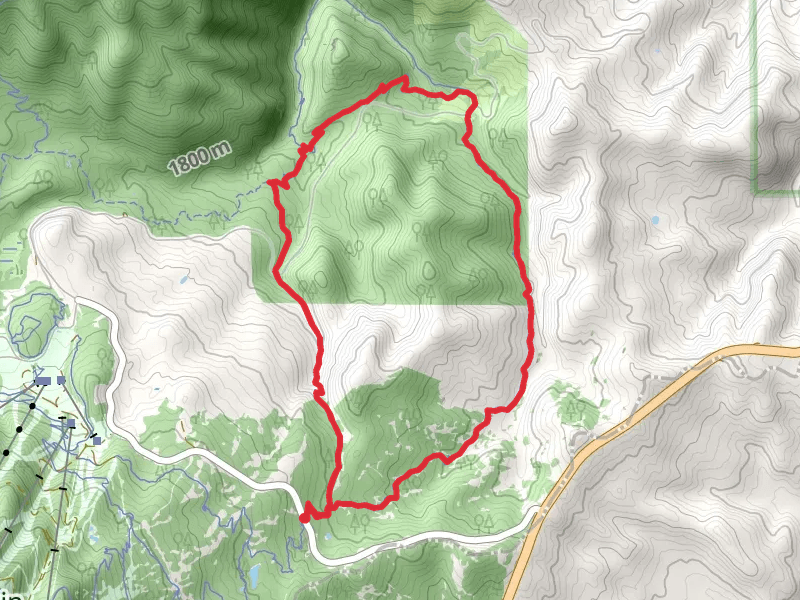 Wheeler Creek Middle and East Fork Trail