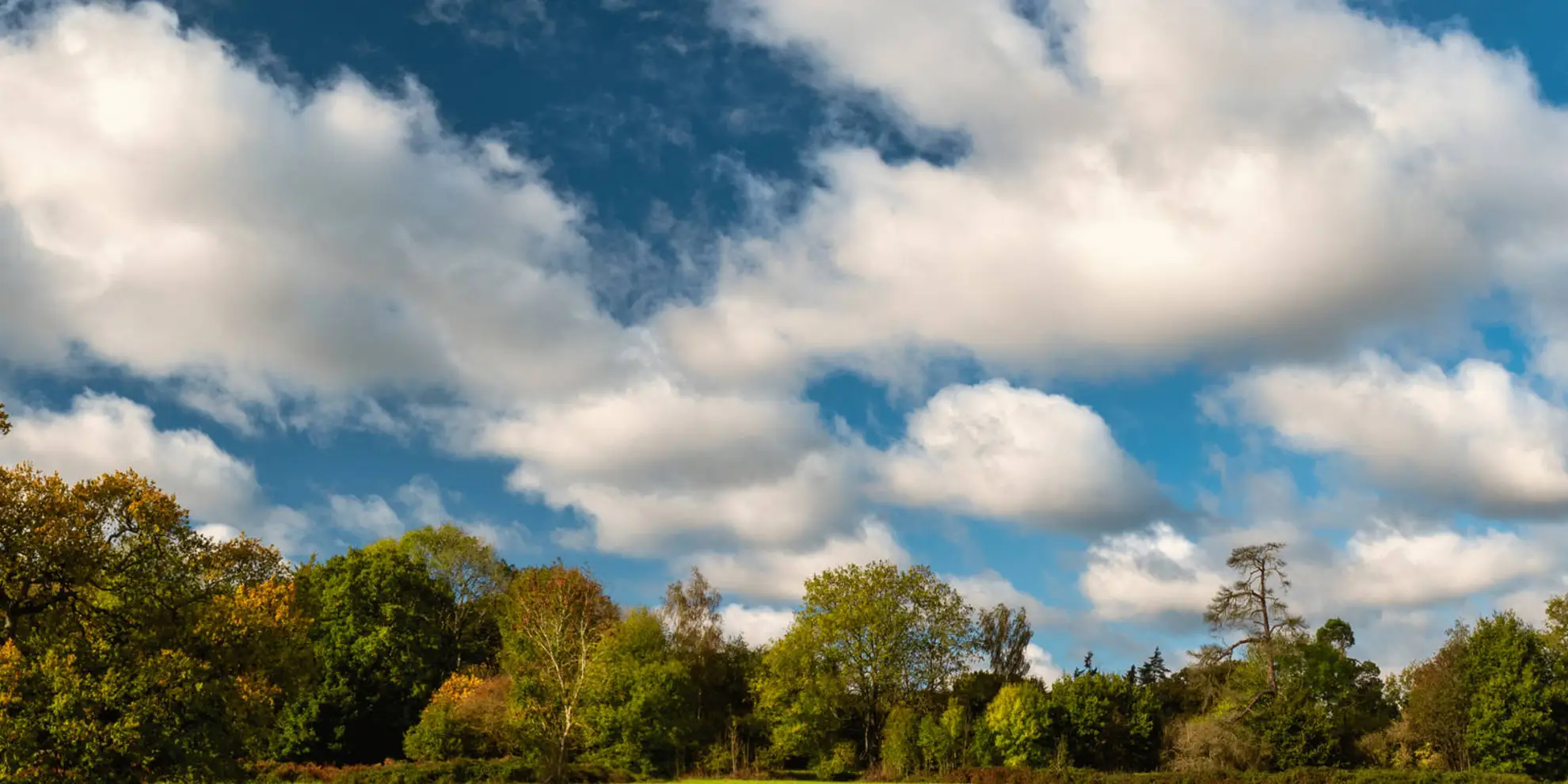 An image depicting the trail Chalfont and Latimer - Chalfont St Giles and Chorleywood and its surrounding area.
