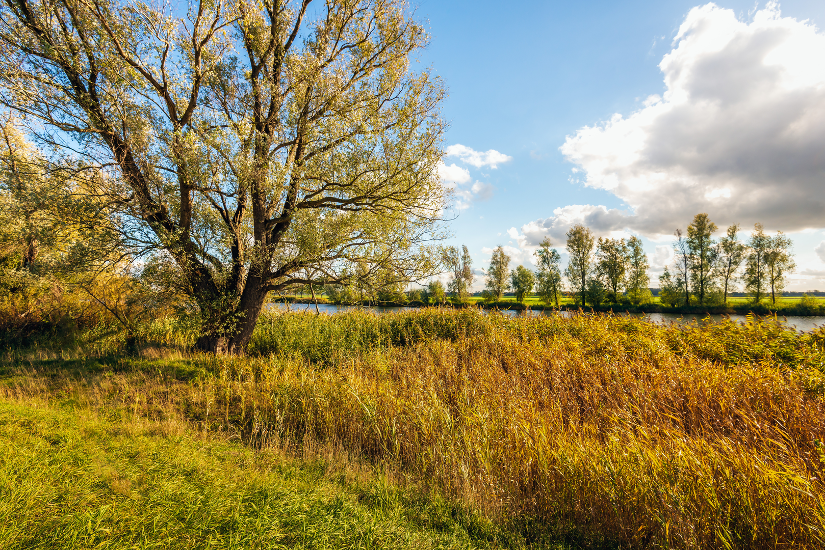 An image depicting the trail Gorinchem to Demer via Kasteel Loevestein and Veense Put and its surrounding area.