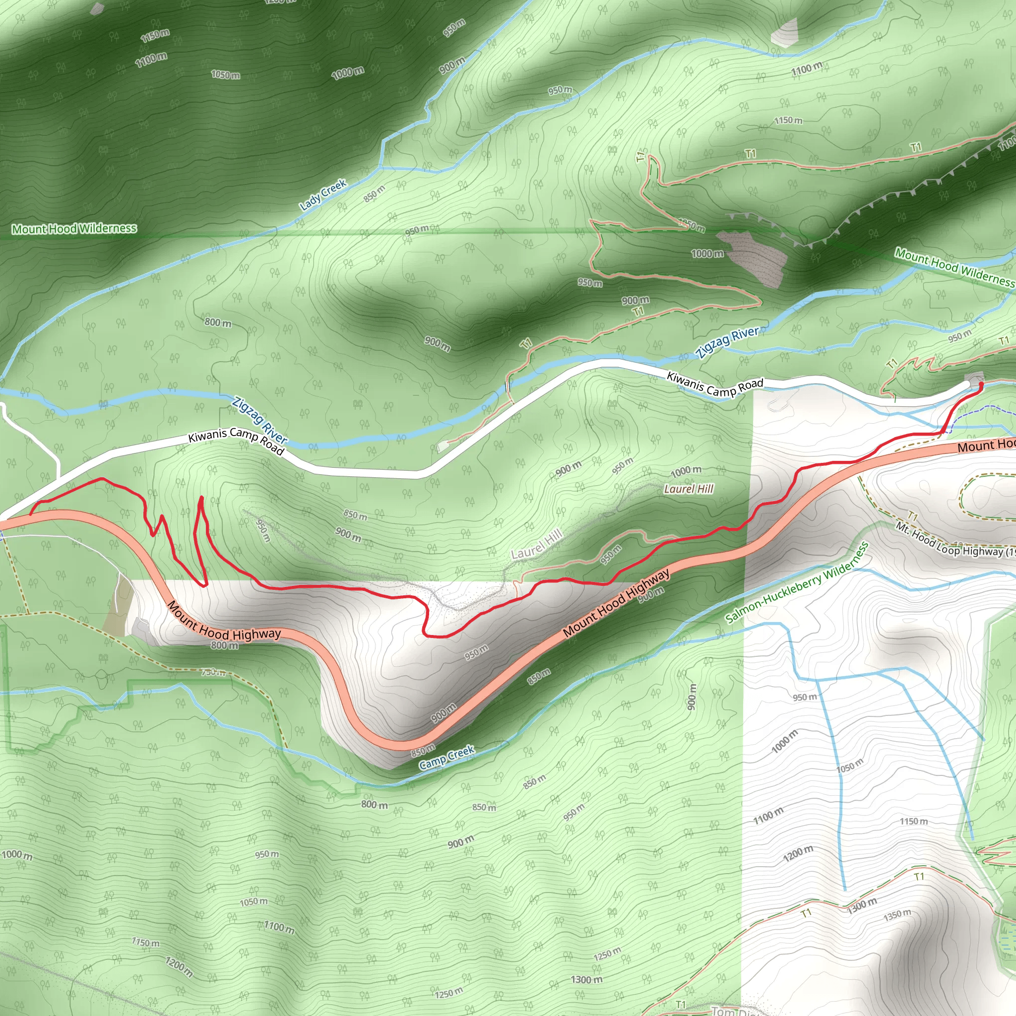Laurel Hill via Pioneer Bridle Trail mobile static map