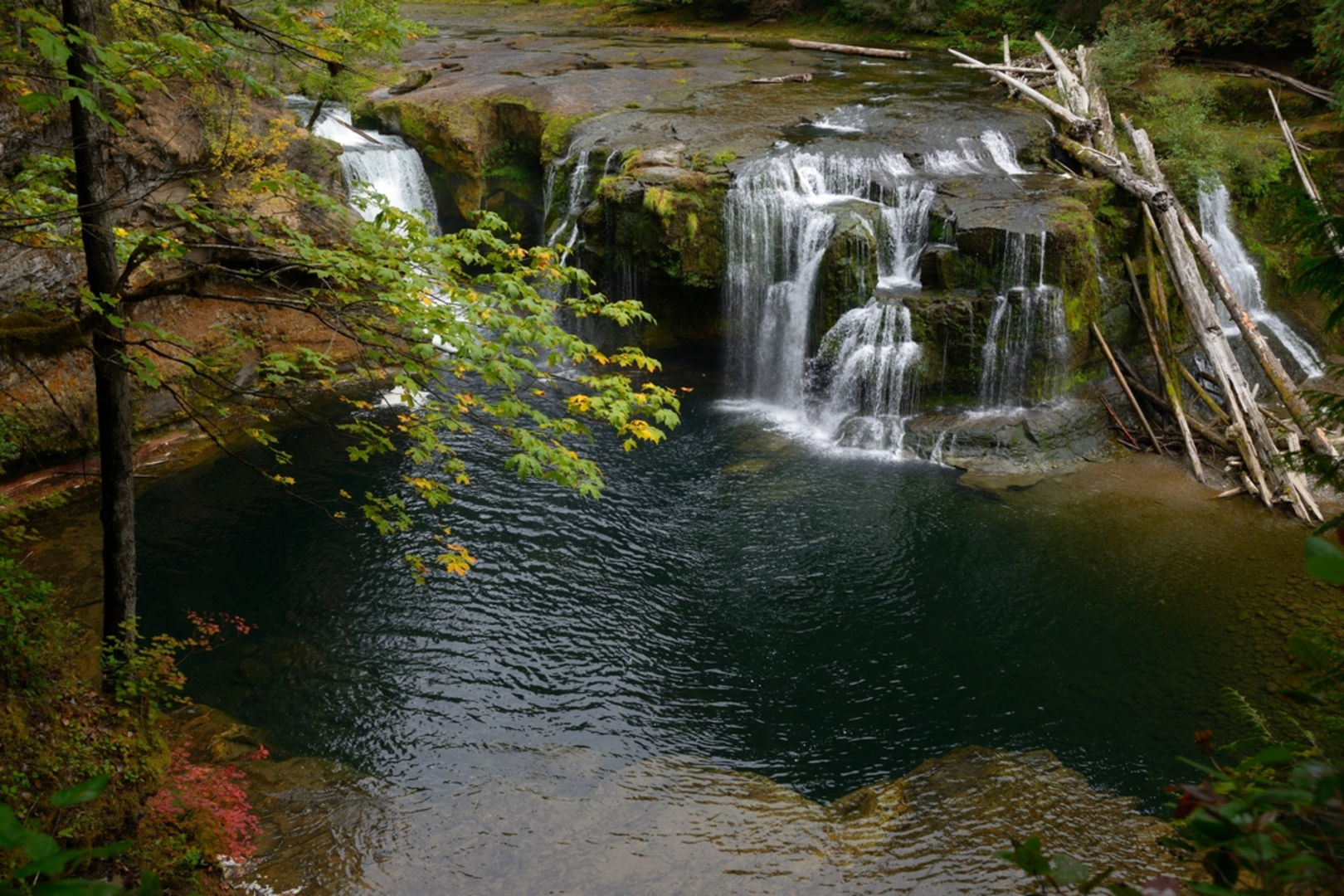 An image depicting the trail Lower Falls Viewpoint Trail and its surrounding area.