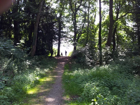 Lauterbacher Wandersteig
