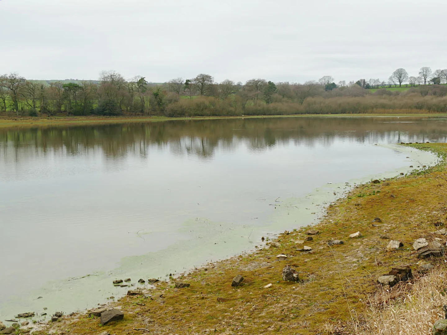 An image depicting the trail Rudyard Lake and Rea Cliffe Wood Loop and its surrounding area.