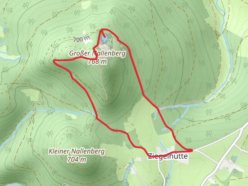 Große Nallenberg Loop via Rhön Rundweg 3 Gersfeld