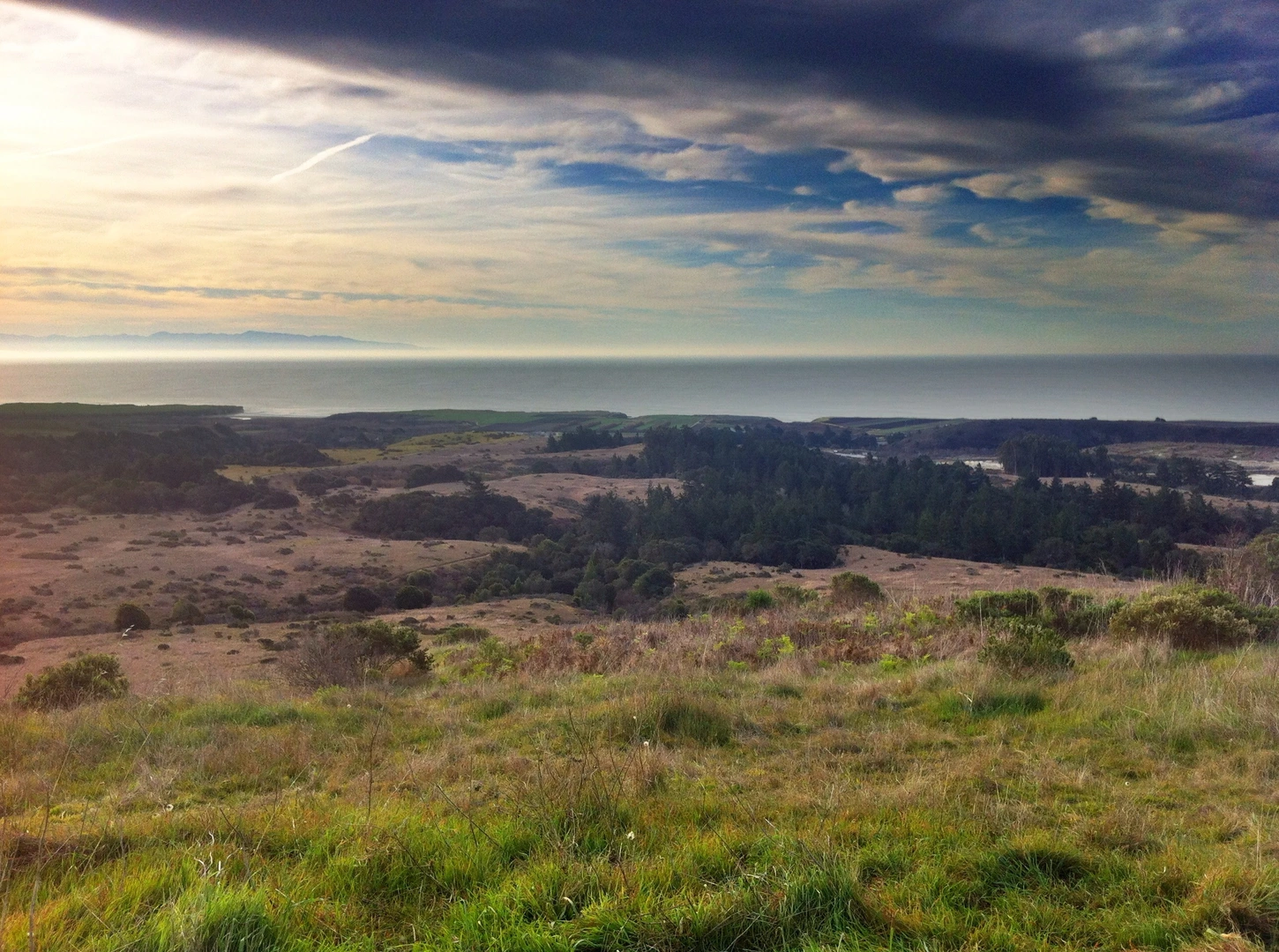 An image depicting the trail Wilder Ridge, Enchanted and Ohlone Bluff Loop Trail and its surrounding area.
