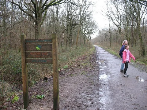 An image depicting the trail Clanger Wood Small Loop and its surrounding area.