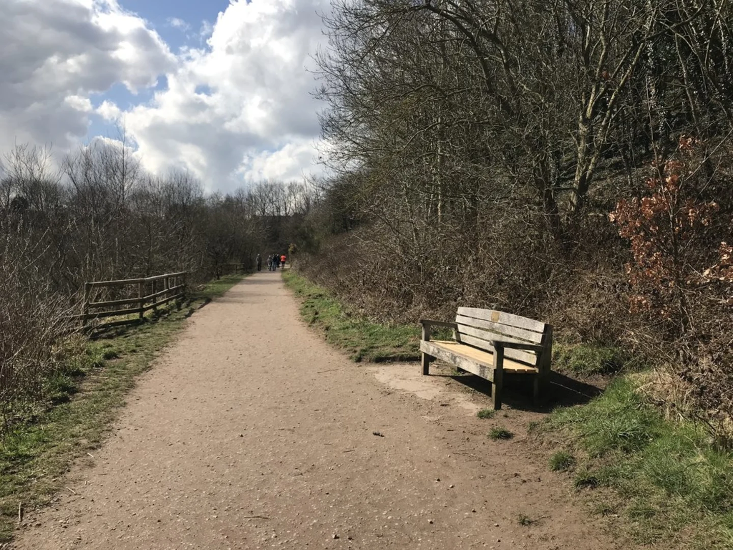 An image depicting the trail Astbury Mere Loop and its surrounding area.