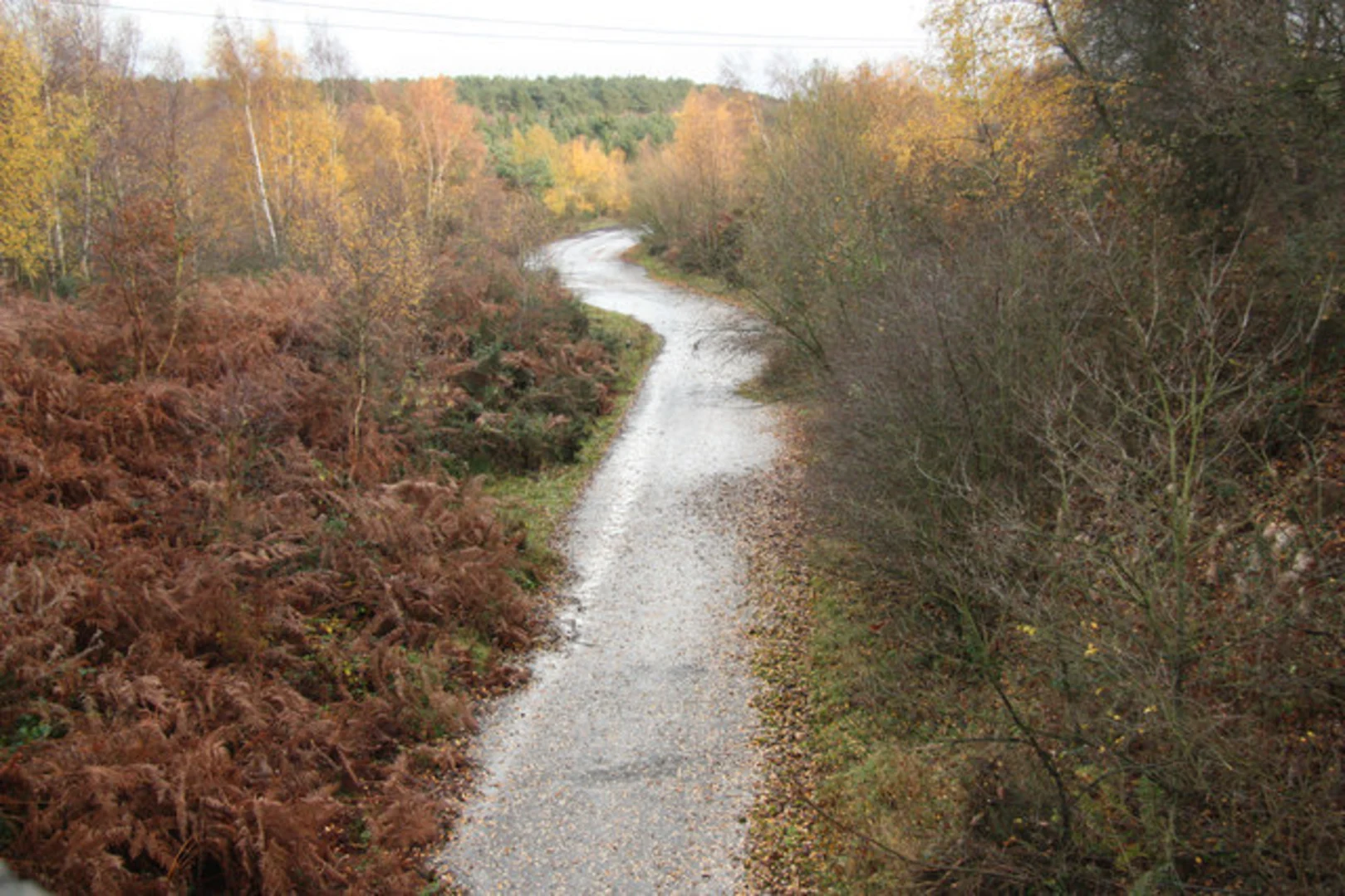 An image depicting the trail Vicar Water Country Park Loop and its surrounding area.