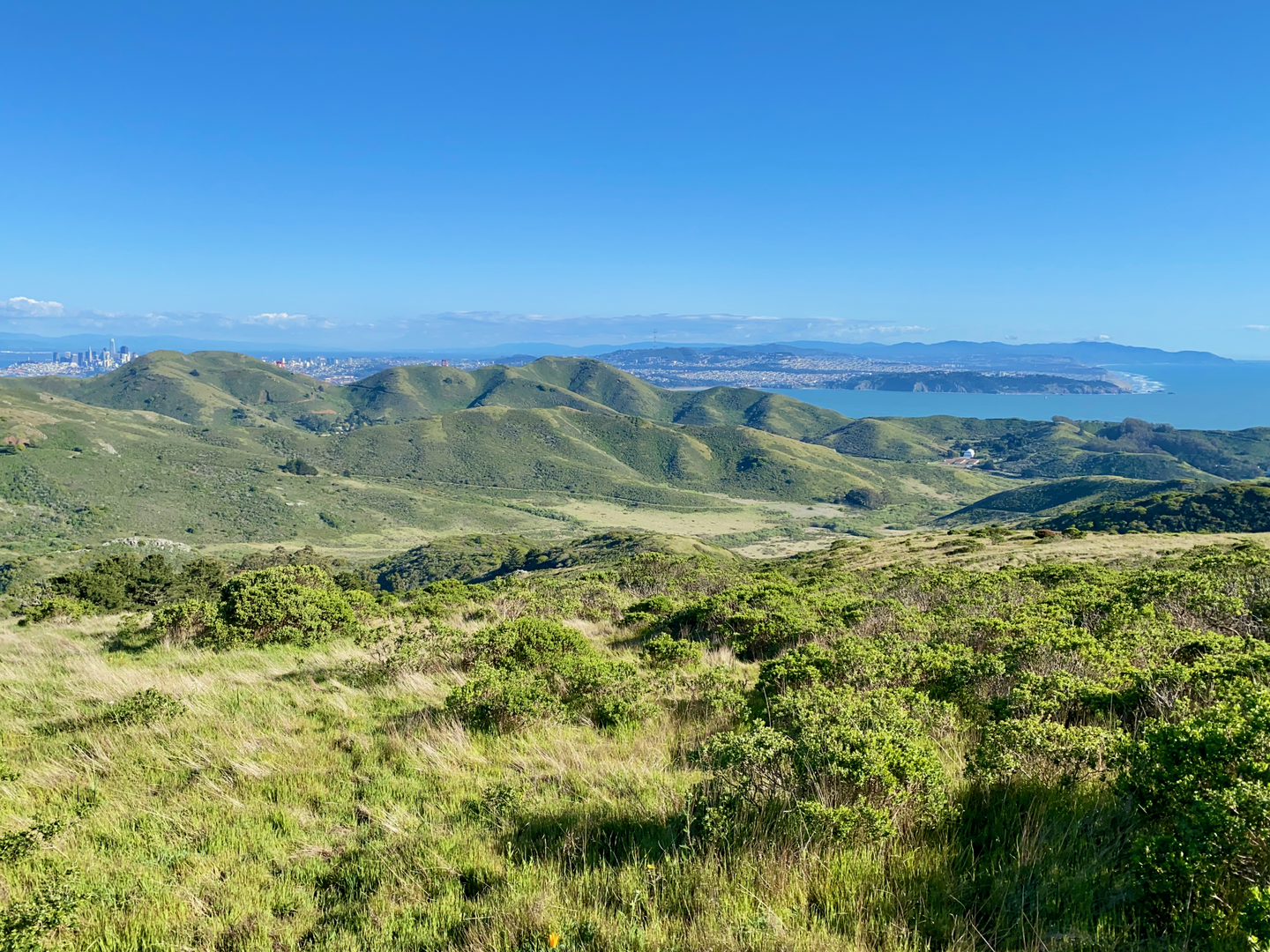 An image depicting the trail Miwok Trail and its surrounding area.