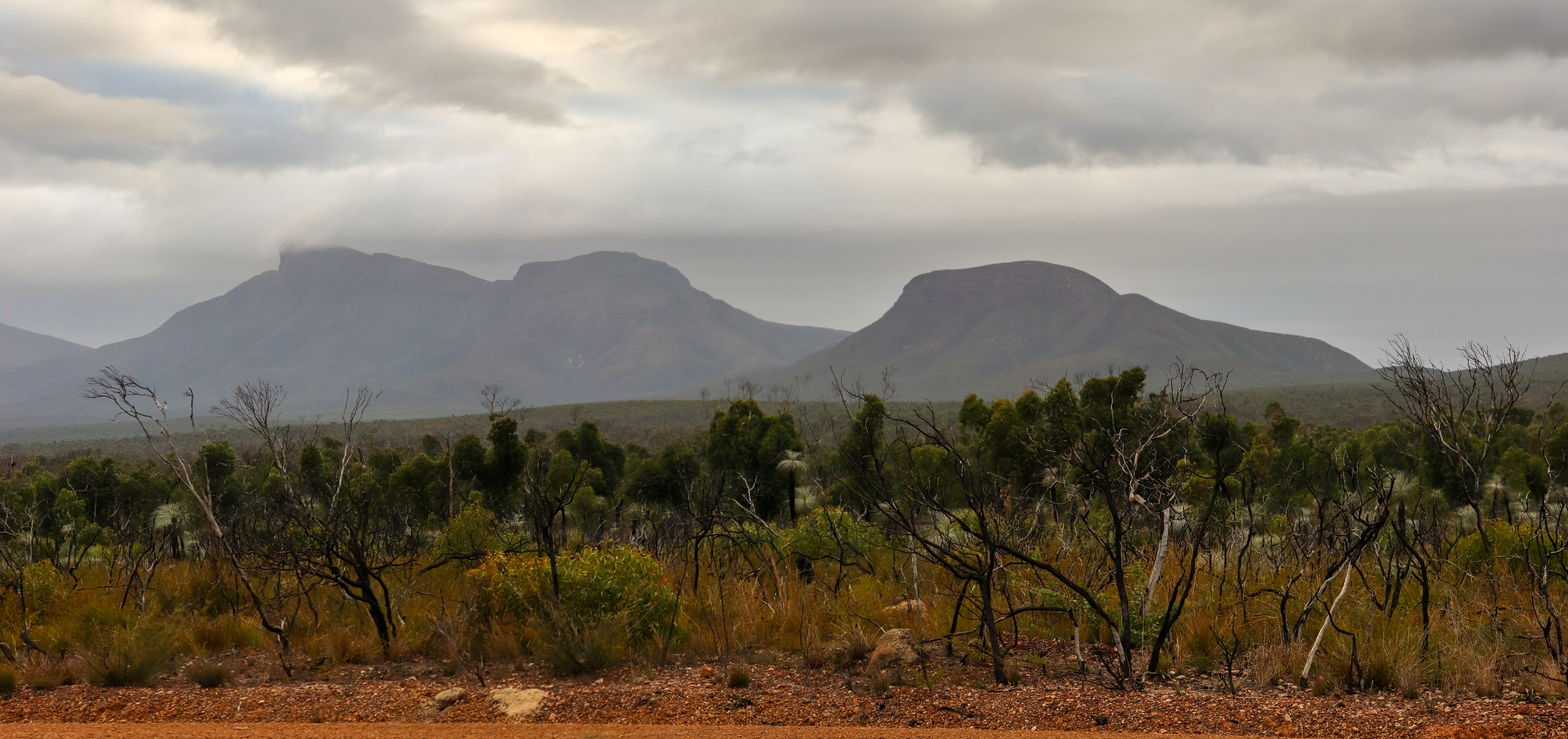 An image depicting the trail Stirling Range National Park and its surrounding area.