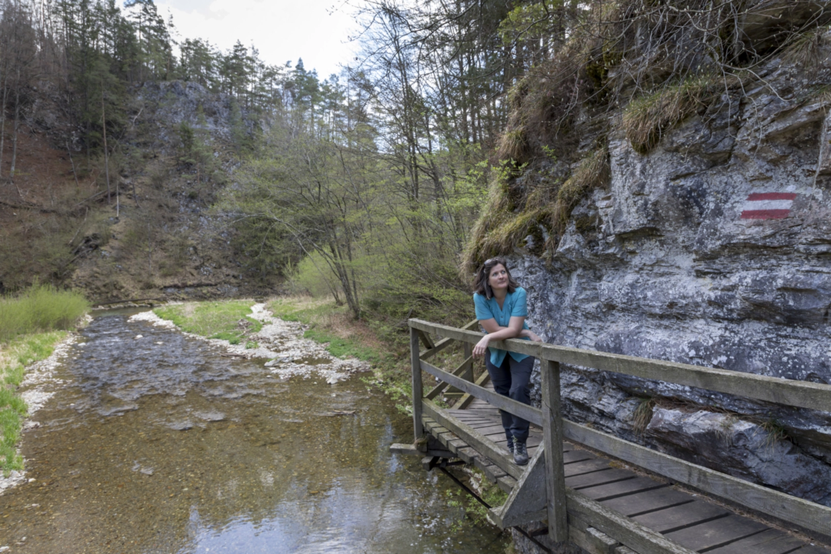 An image depicting the trail Mortantsch - Small Raabklamm Gorge Trail and its surrounding area.