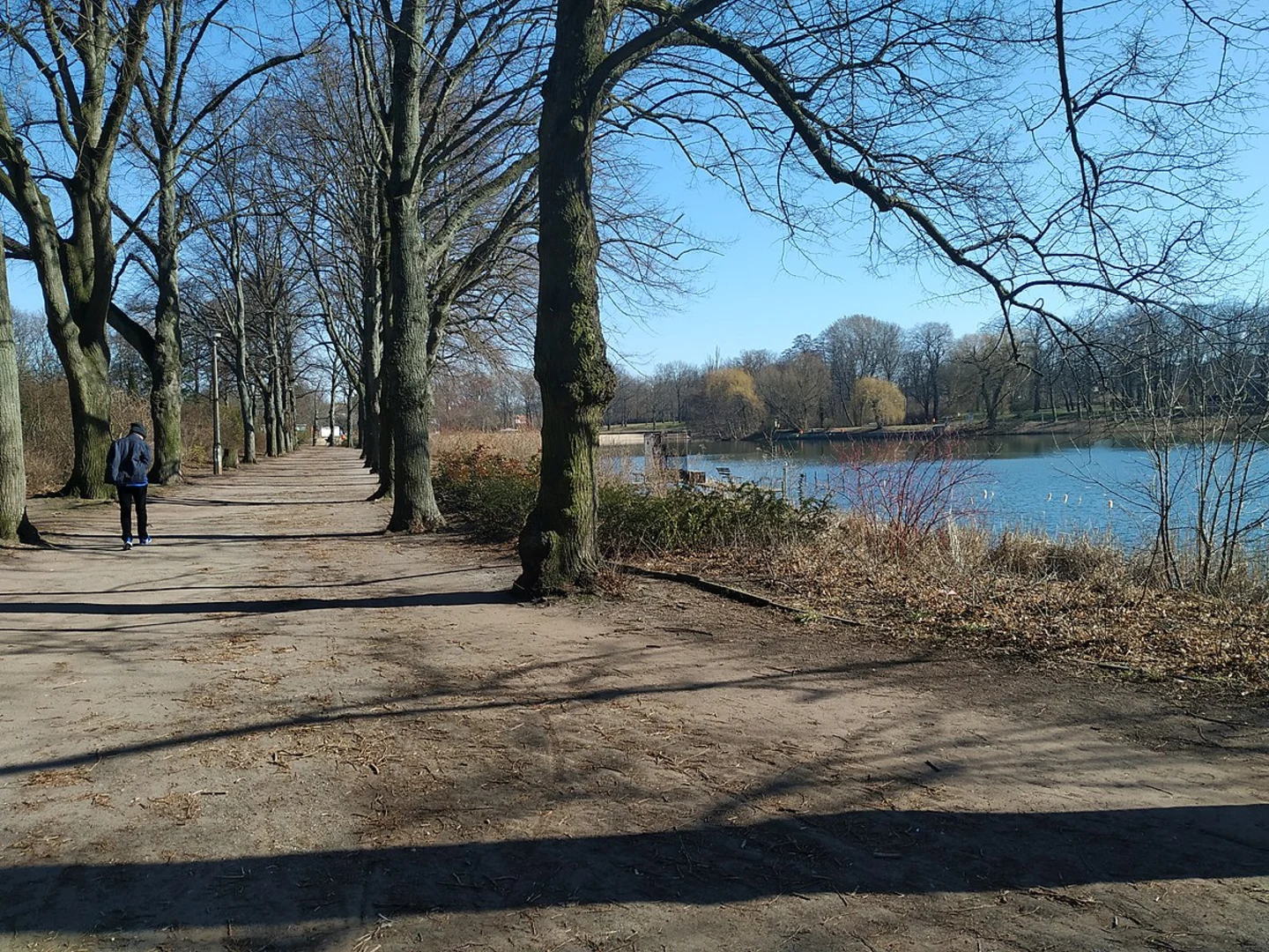 An image depicting the trail Orankesee and Obersee Loop and its surrounding area.