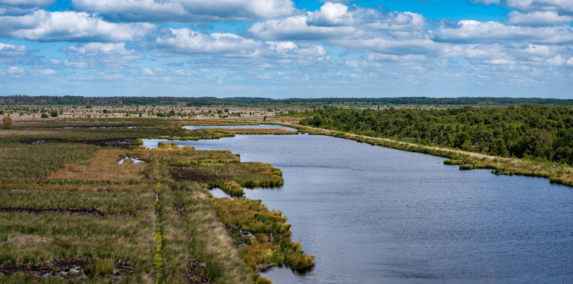 An image depicting the trail Gevangenis and Mastenlaan Loop and its surrounding area.