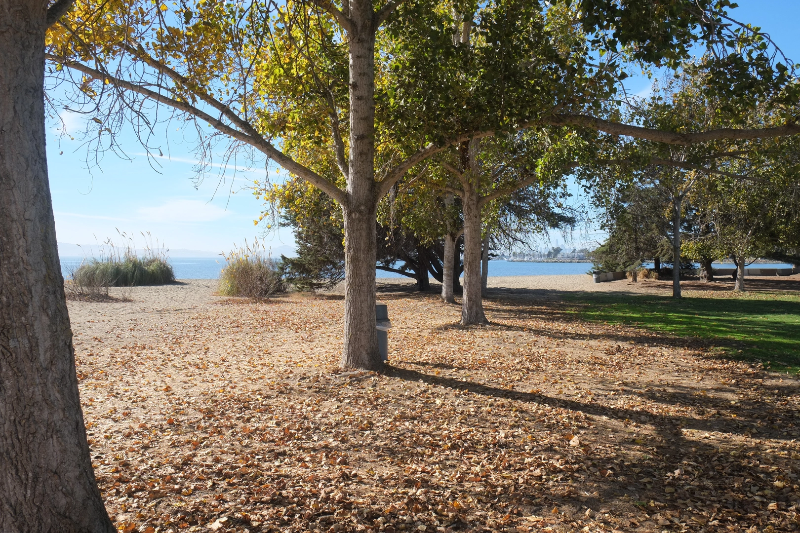 An image depicting the trail Marsh Overlook via Shore Line Drive and its surrounding area.