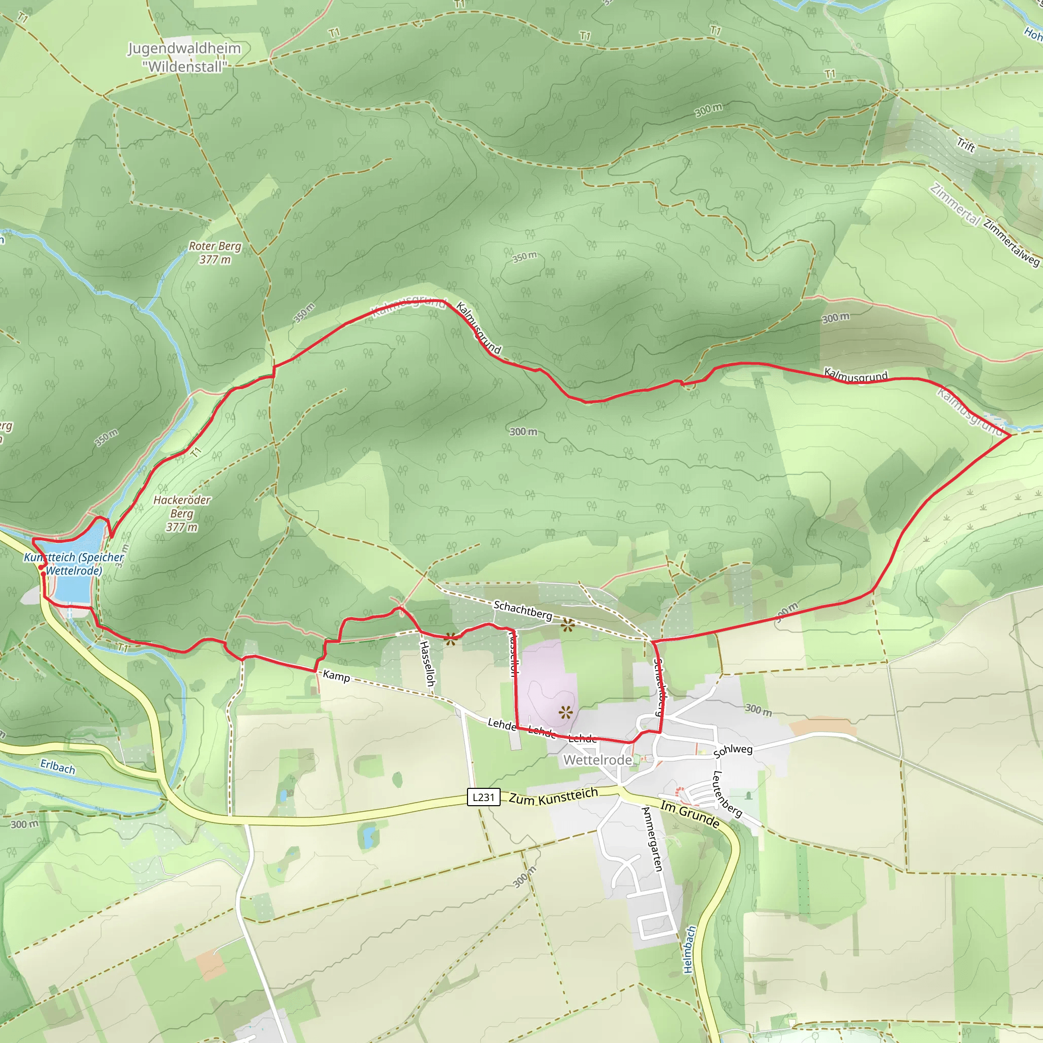 Von Wettelrode zum Kalmusgrund and Steigerschleife mobile static map
