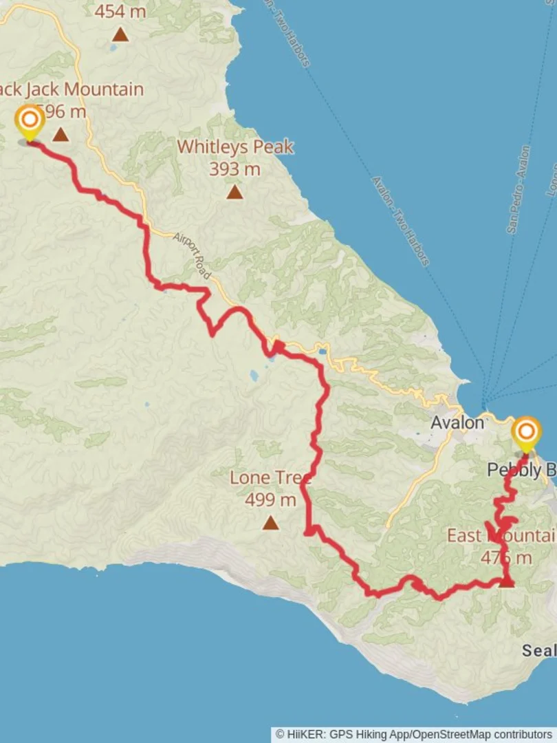 Pebbly Beach to Black Jack Campground via Trans Catalina Trail Los