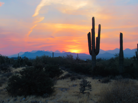 An image depicting the trail Dutchman and Peralta Trail and its surrounding area.