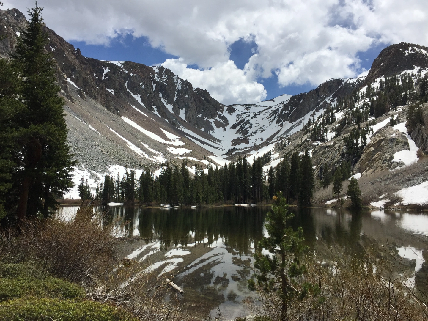 An image depicting the trail Fern Lake Trail and its surrounding area.