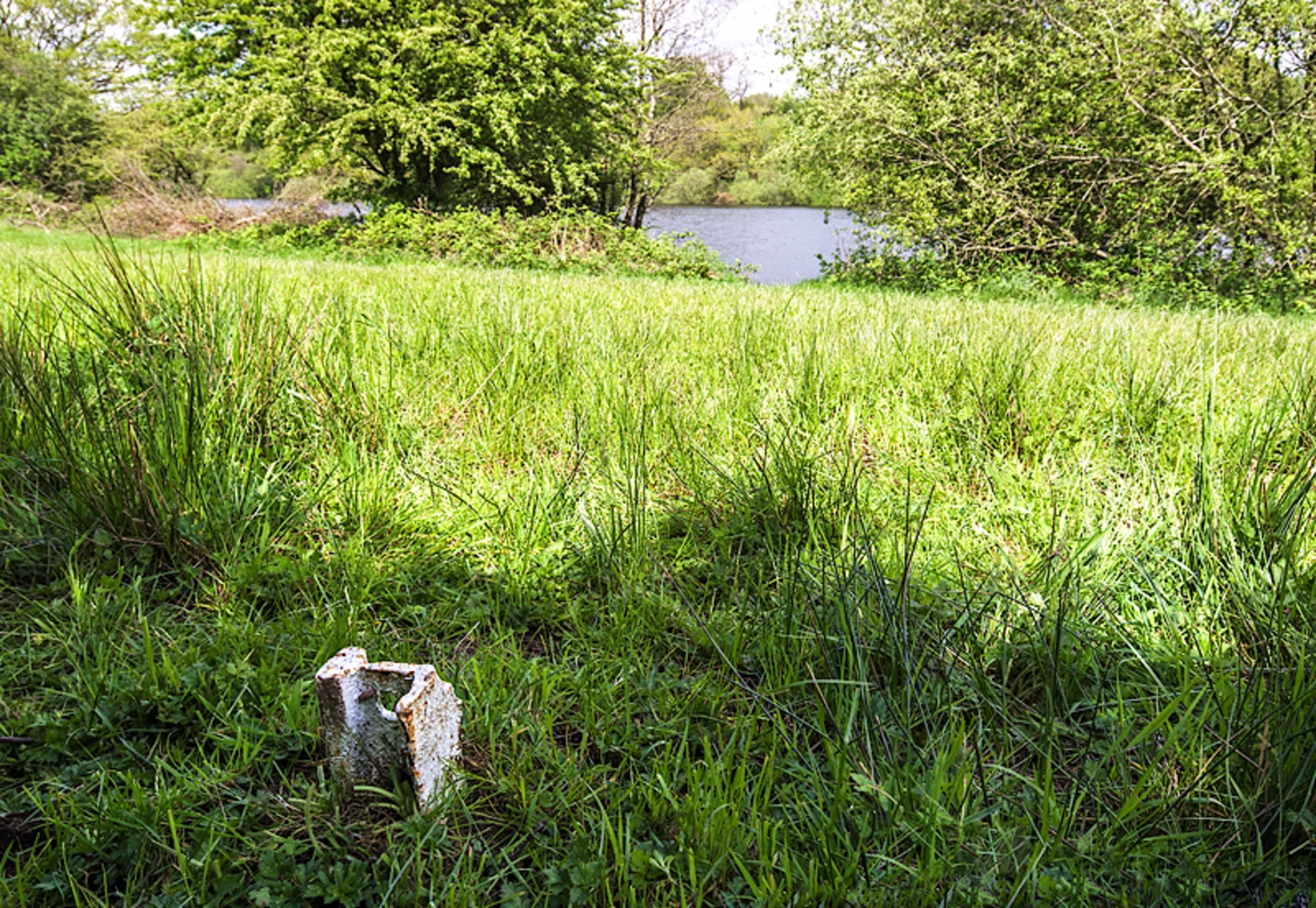 An image depicting the trail Bosley Reservoir and its surrounding area.