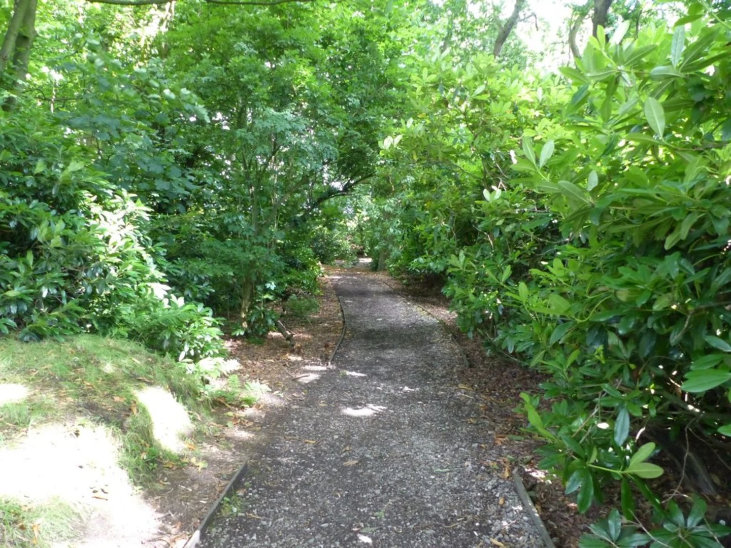 An image depicting the trail Spud Wood Loop and its surrounding area.