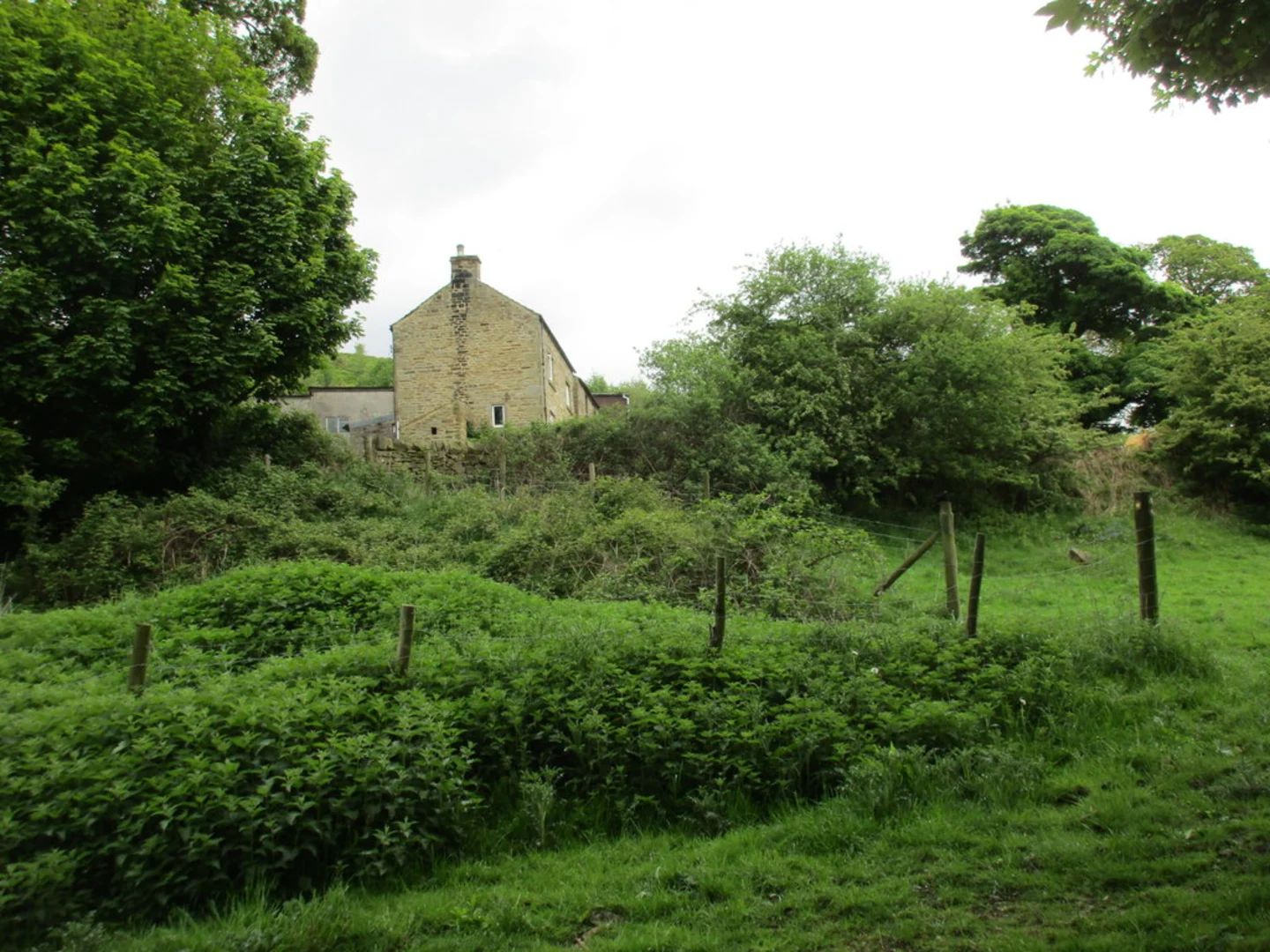An image depicting the trail Birchin Wood and Green's Paper Mill Dam Loop and its surrounding area.