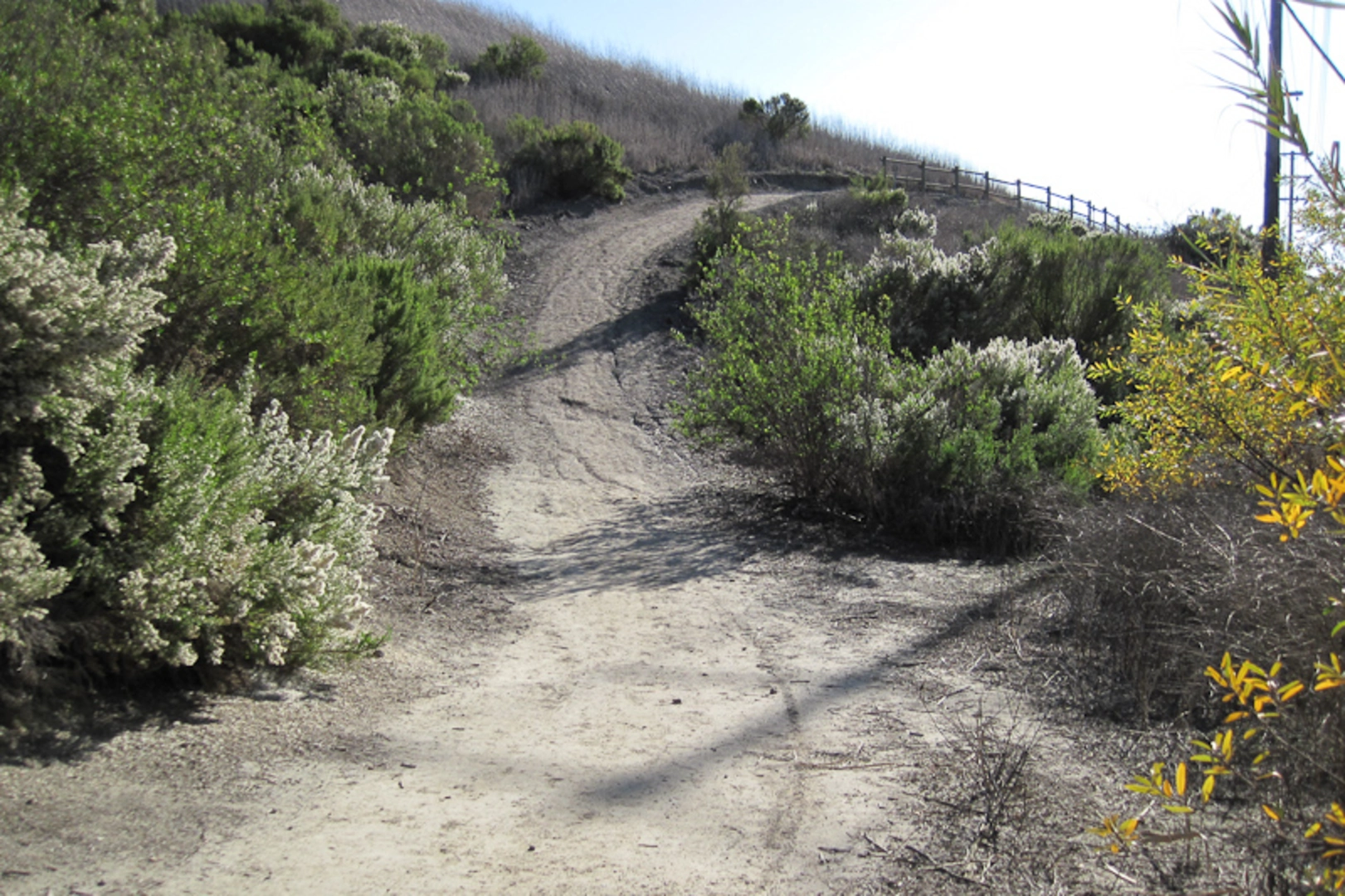 An image depicting the trail Aliso Creek Pathway and its surrounding area.