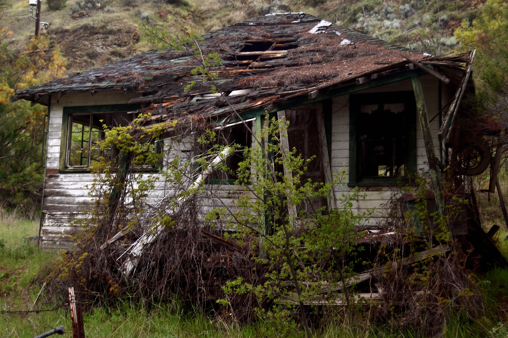 An image depicting the trail Kreyenhagen Peak via Coalinga Mineral Springs National Recreation Trail and its surrounding area.