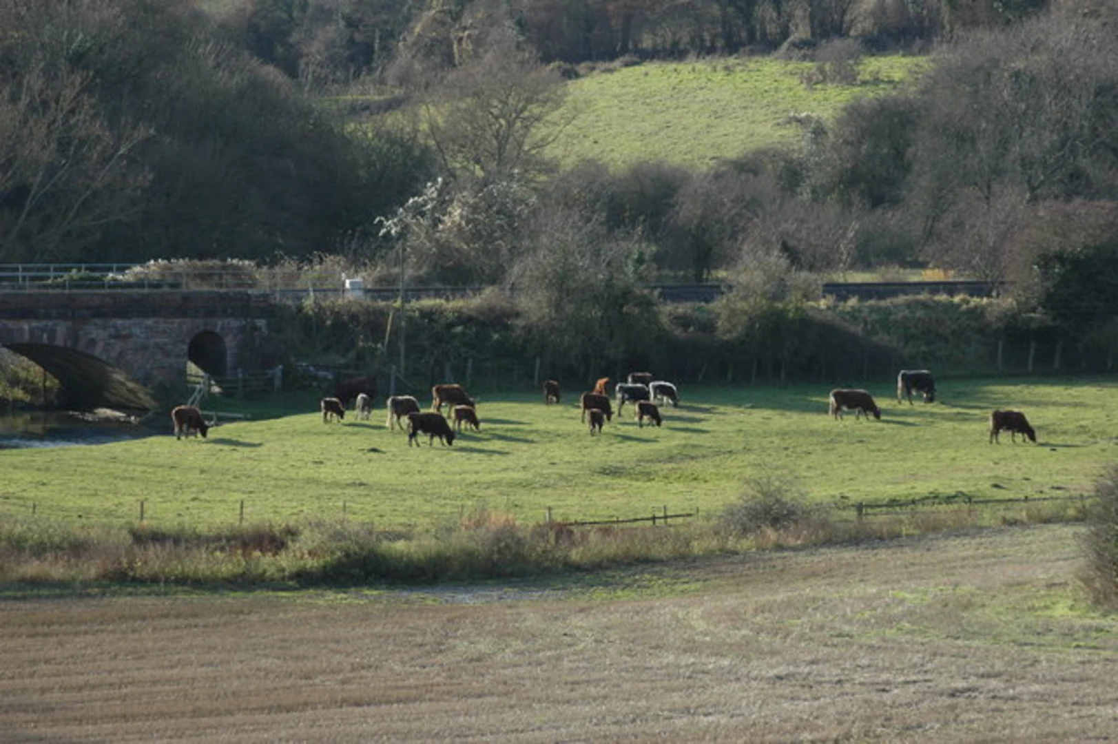 An image depicting the trail Finstock Country Park and Fawler Country Park Loop and its surrounding area.