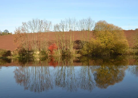 Ulley Reservoir and Country Park Walk