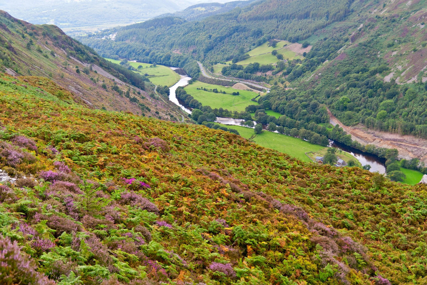 An image depicting the trail The Precipice Walk near Dolgellau and its surrounding area.