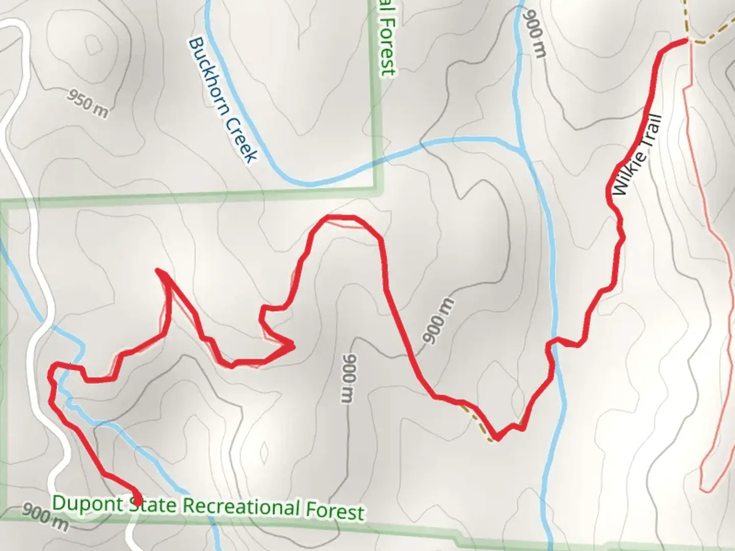 An image depicting the trail Cannon Creek and Buckhorn Creek Trail and its surrounding area.