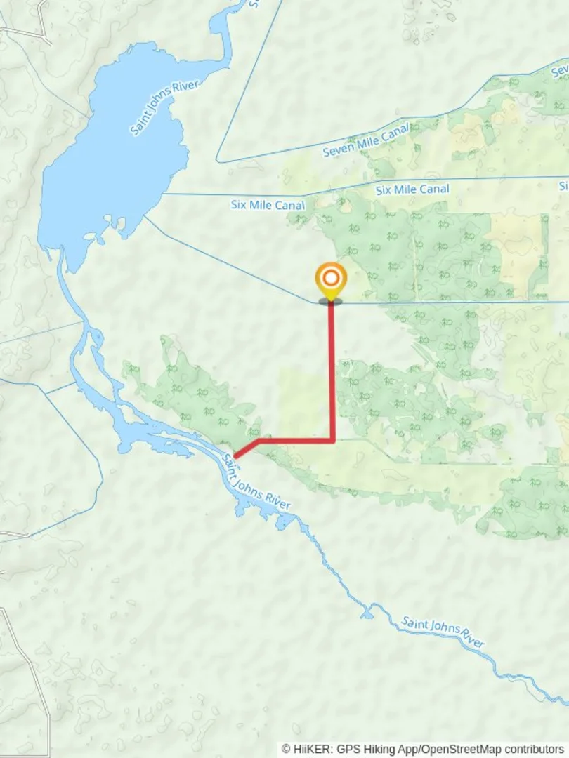 An image depicting the trail Saint Johns River - River Lakes Conservation Area Trail and its surrounding area.