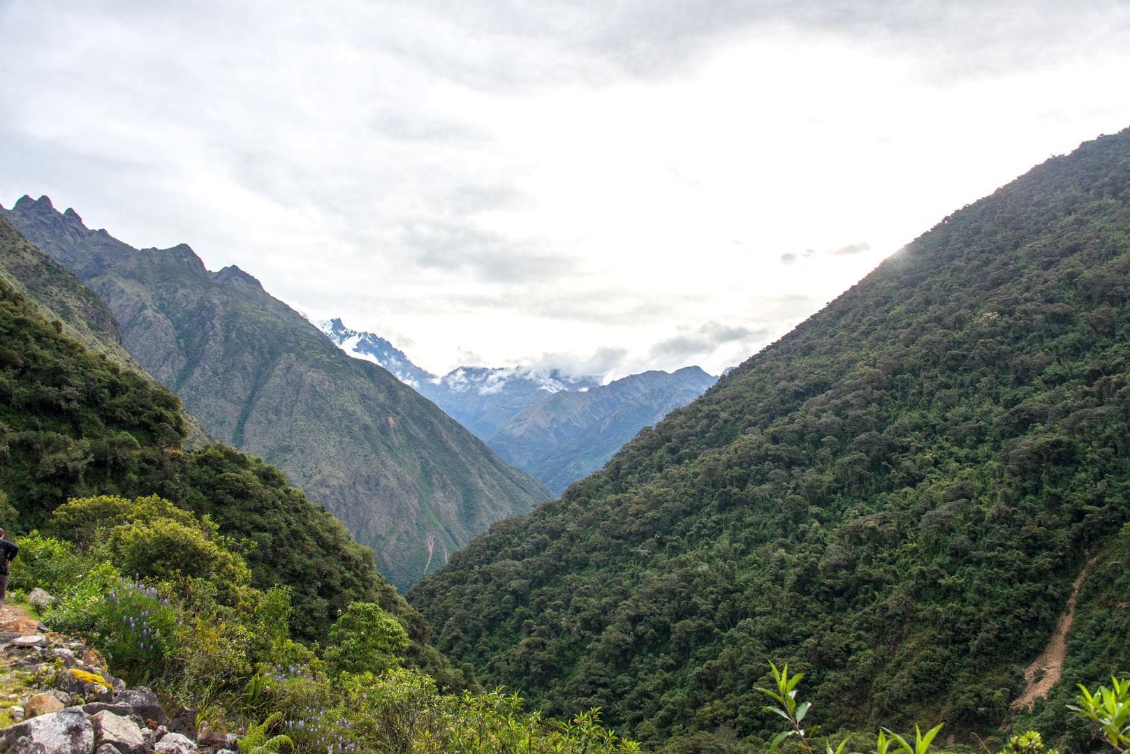 An image depicting the trail Salkantay Trek and its surrounding area.