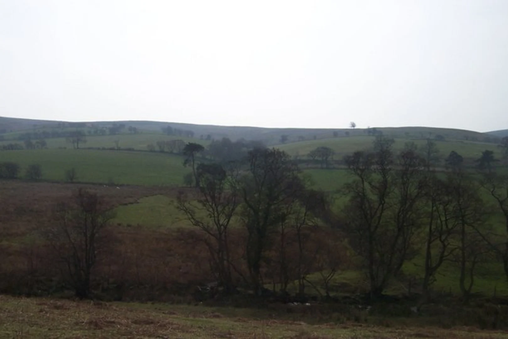 An image depicting the trail Bridges to Picklescott Walk and its surrounding area.