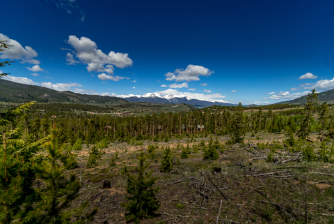 An image depicting the trail Gold Dust Trail and its surrounding area.