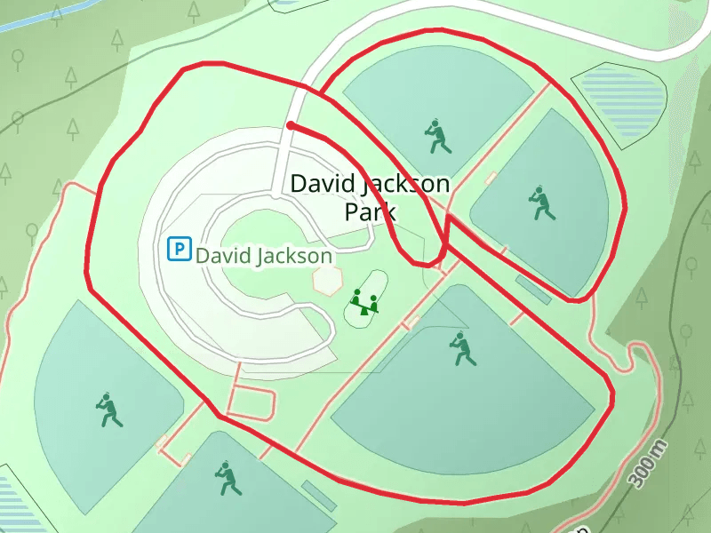 David Jackson Park Loop