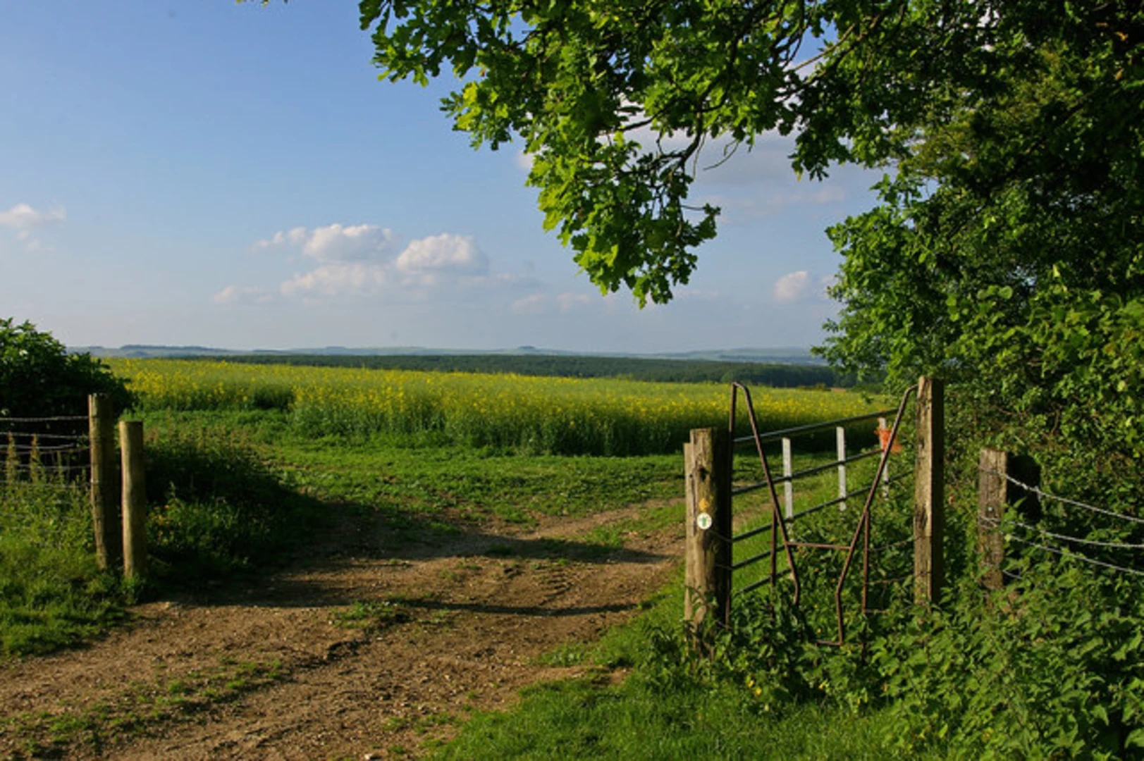 An image depicting the trail Tan Hill Way and its surrounding area.